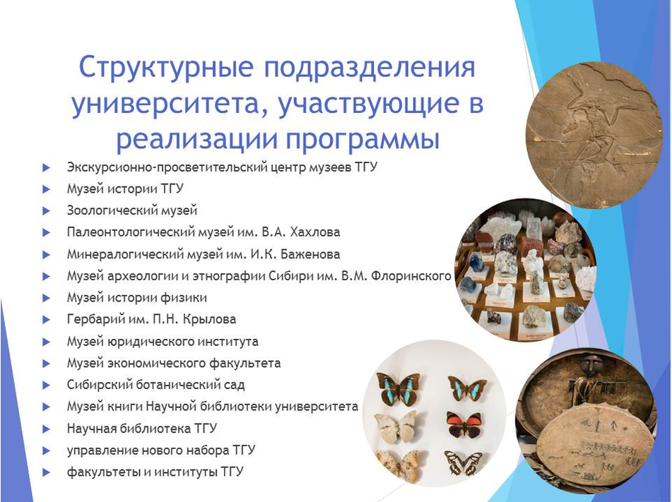 Структурные подразделения