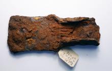 БКМ. Корнекопалка железная с остатками древесной рукояти