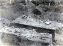 Басандайский могильник. Погребение с конем