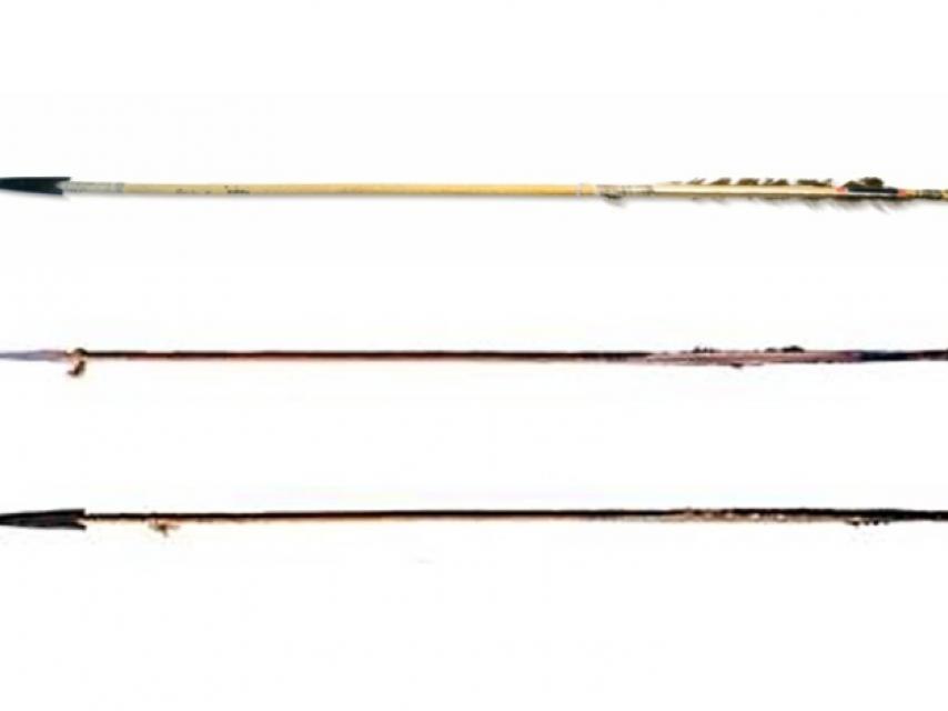 Стрела  Дерево, металл (железо), перья, сухожилия.  Сиу (Дакота)  XIX в.